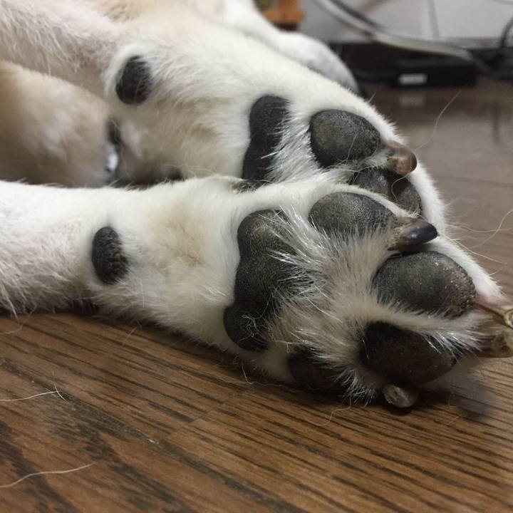 Ae83f046 d1cd 445f 9994 f0a148330b34 1533731857950