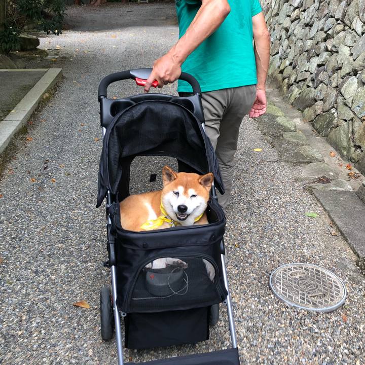 Ae840433 146c 414c a44b a01d505f20b1 1569451700144