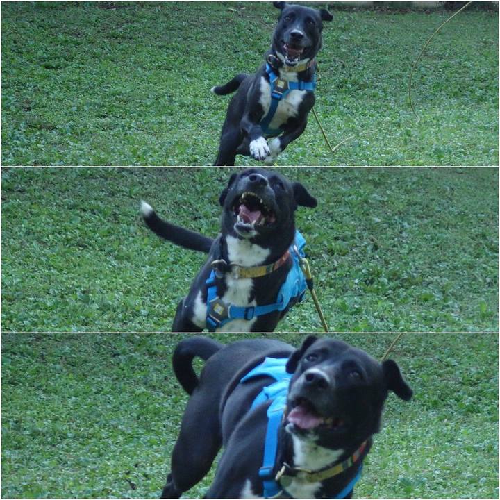 Ae8405e6 a008 4811 b87d 0f94f2d48cce 1603931975673