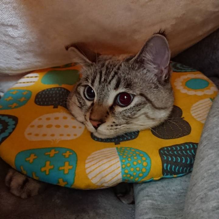 Ae841572 20da 4300 91cb 0c74204c0d37 1515759136753