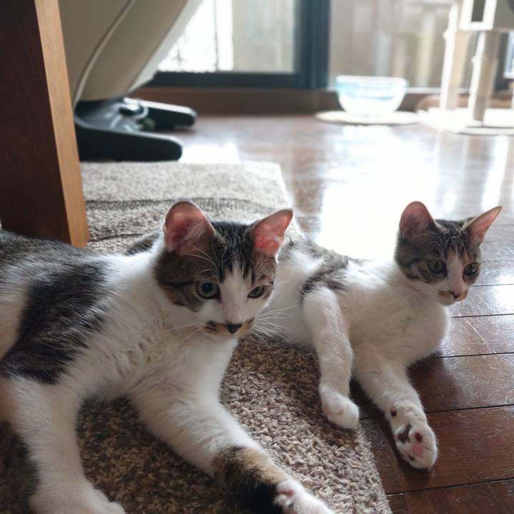 Ae841d09 9003 4a90 85dc d61e79e5f411 1552793228300