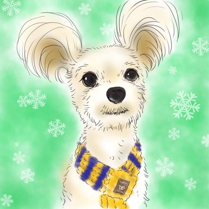 Ae842013 d670 41d0 87f9 938374fedc1e 1551703765302