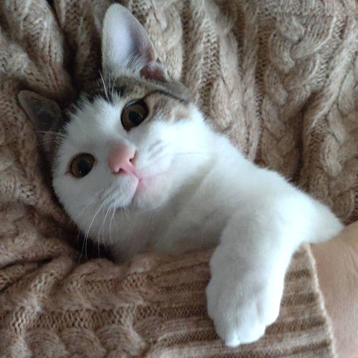 Ae84490e 7bbd 480d 9bfc d88b2de6a6c4 1641019957423