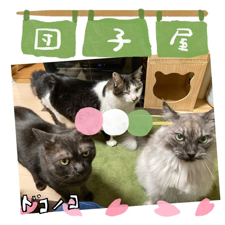 Ae84528a 4794 406d 9a83 dfede01f9306 1712745518176