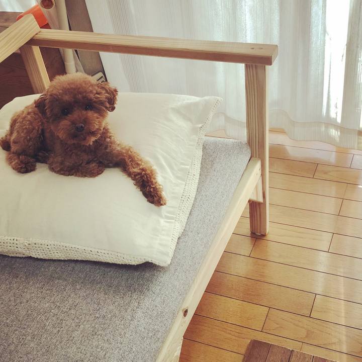 Ae846620 740d 4c31 adeb 6c21ed1c4b0b 1573980692094