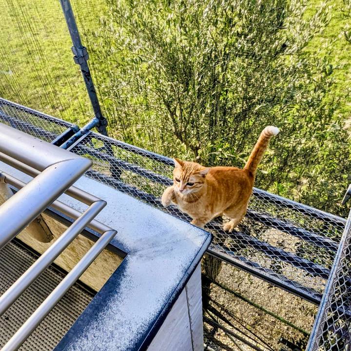 Ae84b041 d5b0 43a1 bba2 664b308cd510 1772669375395