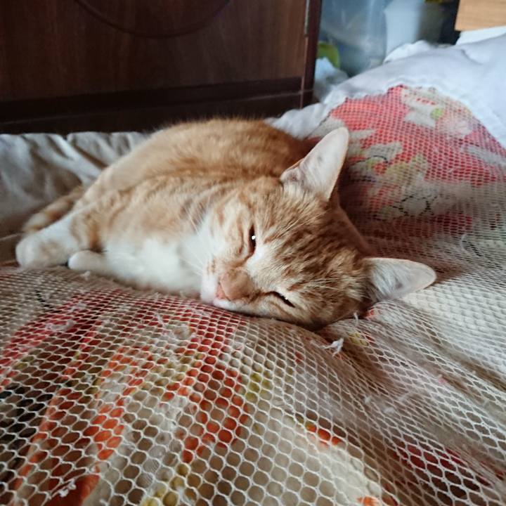 Ae84e152 d25c 4650 89bf c9144b4d14f7 1586381590030