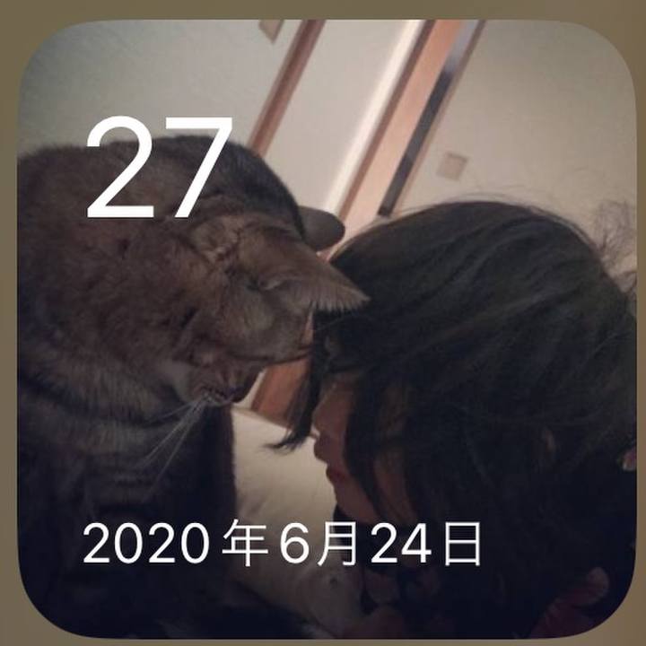 Ae84e341 268a 478b a8fe 11c33ff3bd69 1687859385461