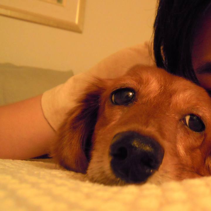 Ae84f466 c869 4cd8 b206 8475cf4e4189 1537465481326