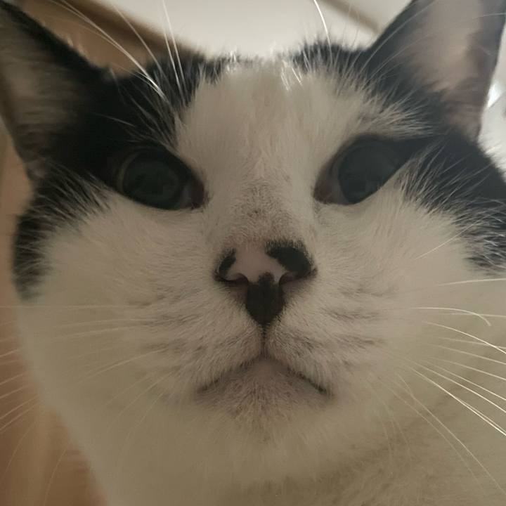 Ae859289 9f1b 4b2a a2eb d66bee9114a6 1663333024865