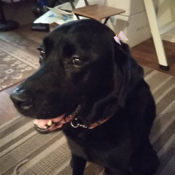 Ae859461 7890 4b12 8243 eb0163f86742 1691807286934