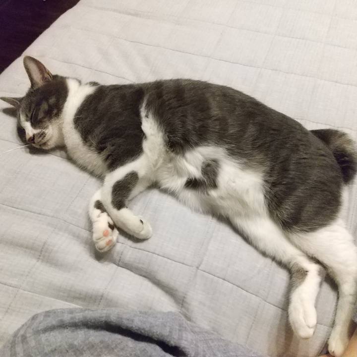 Ae85caee 7d26 4a6d 922c 633da01126b8 1601981586175