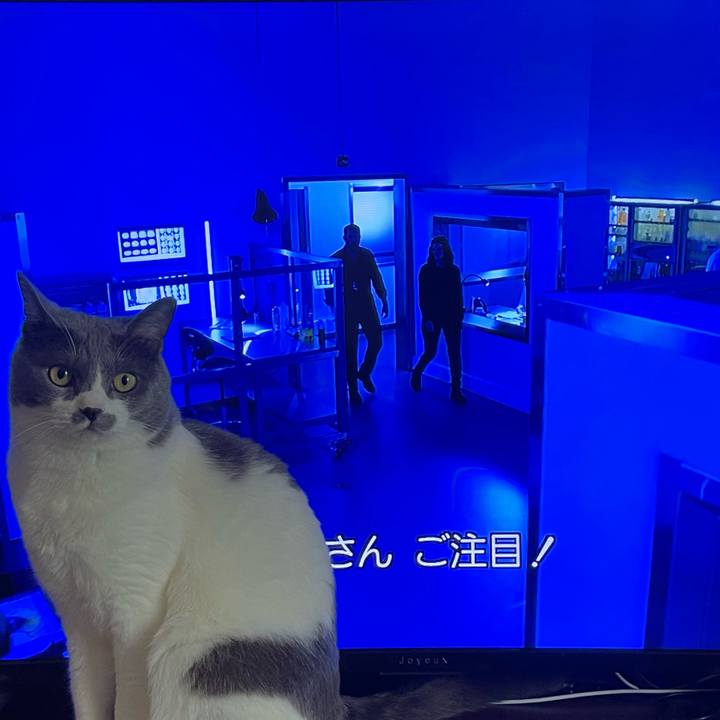 Ae861ca8 abd3 458d 9b2d 82bd097e6991 1659685172791