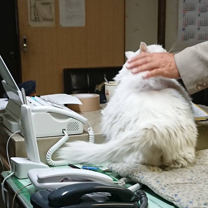 Ae86618d 5305 4229 aeb5 e7c6e47a19e2 1525645664339