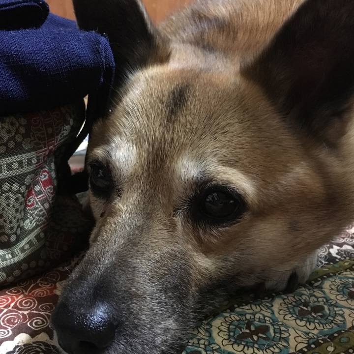 Ae869081 ecd9 41a7 9403 be63f45e1981 1520595802821