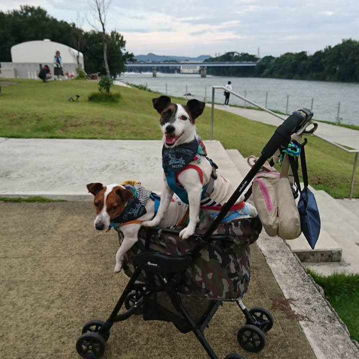 Ae8696c3 f13e 423a b683 3c23329ec1bd 1567241439515