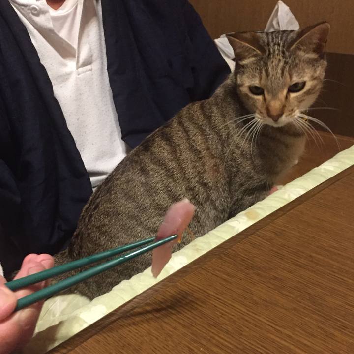 Ae8699b7 c821 4f0c a776 77cd46f3833c 1549455332948