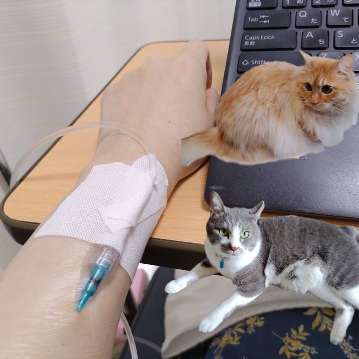 Ae870a89 68b4 440a 931e 7e6c64866cff 1715165195974