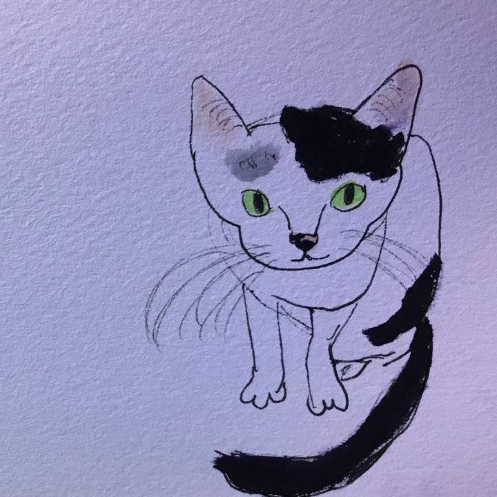 Ae871ef9 44e4 4246 b501 9e71a6da43cf 1614631652454