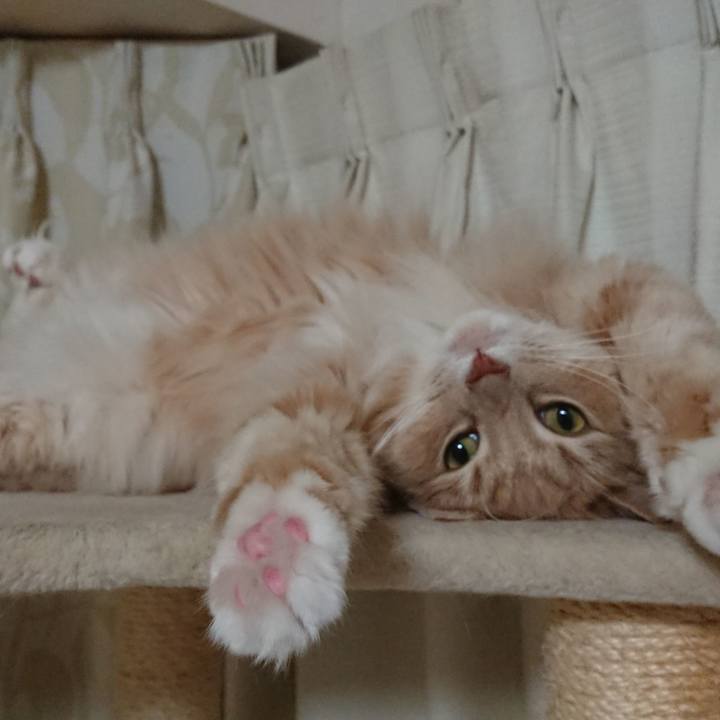 Ae874036 e488 40aa 8599 02717f40909b 1544964699213