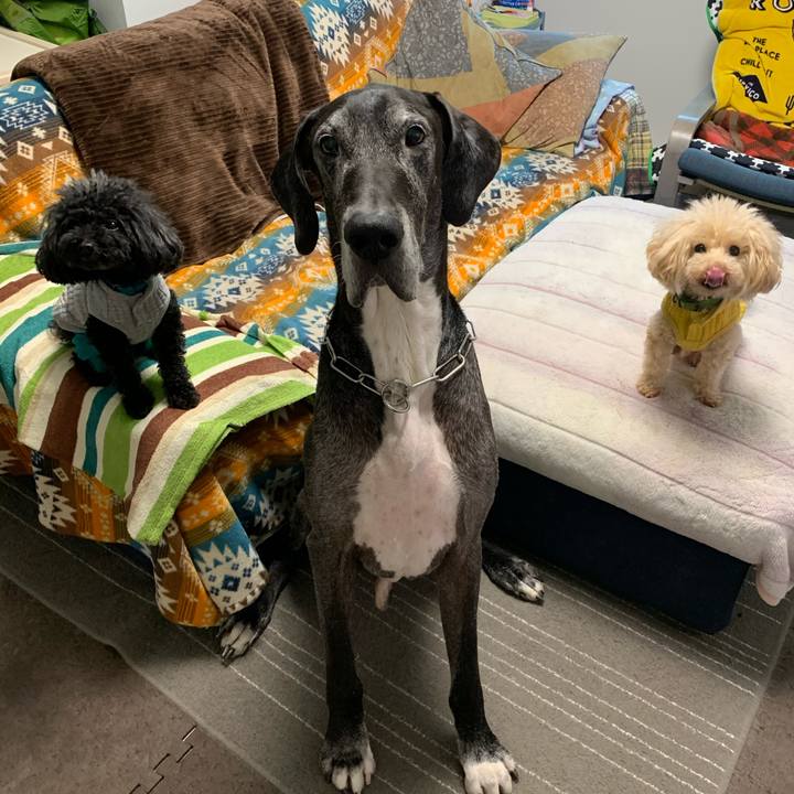 Ae87413f 0187 43b3 903f 47a3008f5044 1605046483016