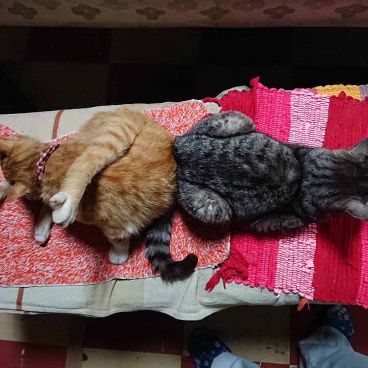 Ae87469e 98c3 42b5 87fe ba6a0aa23d67 1559903227614