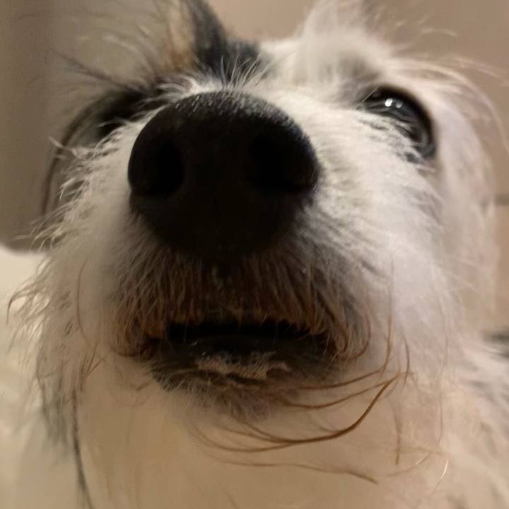 Ae875ce7 d785 42cf a3d6 ad204d46b859 1691149350820