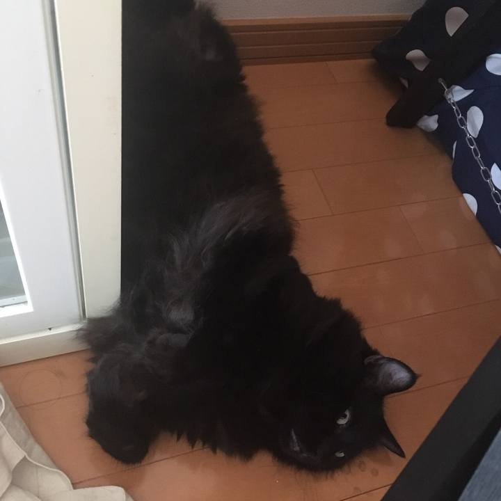 Ae87774f 7db2 46e9 9b94 c61dec996574 1564702981466