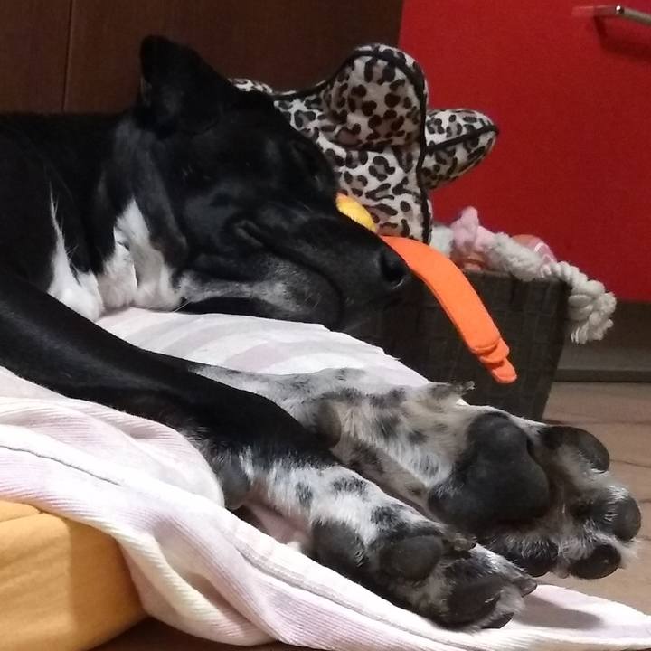 Ae878bbc dadc 4442 afff ab8d219d5f6e 1588547446056