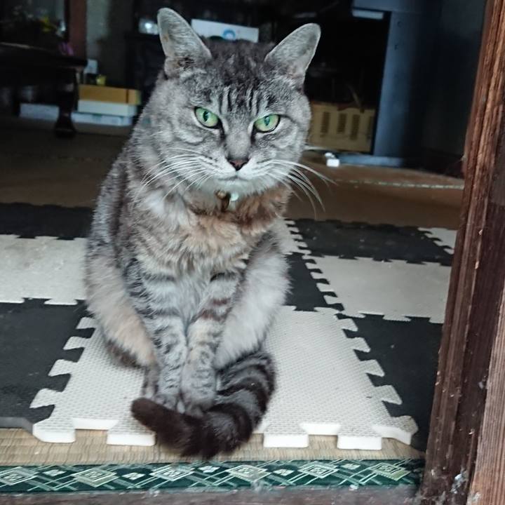 Ae87f19a 652d 4ae0 b65f 5c5dde84fda1 1569654191794