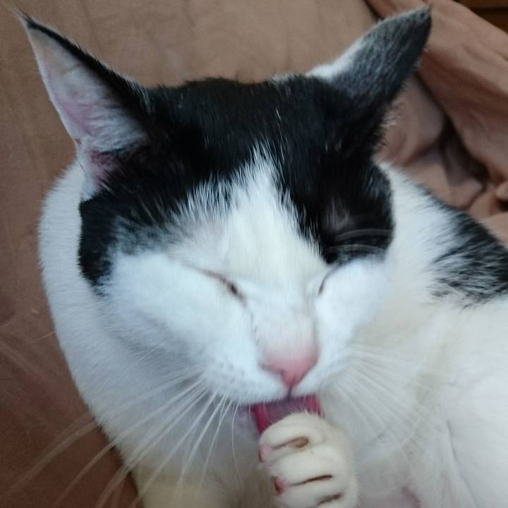 Ae882fab 02e5 41df 8bf2 4bf66e5cc739 1520852039349