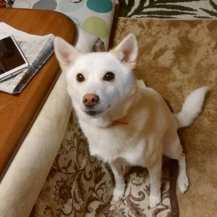 Ae888b55 f9a9 4dd5 915c 51f540c4a454 1542894836172