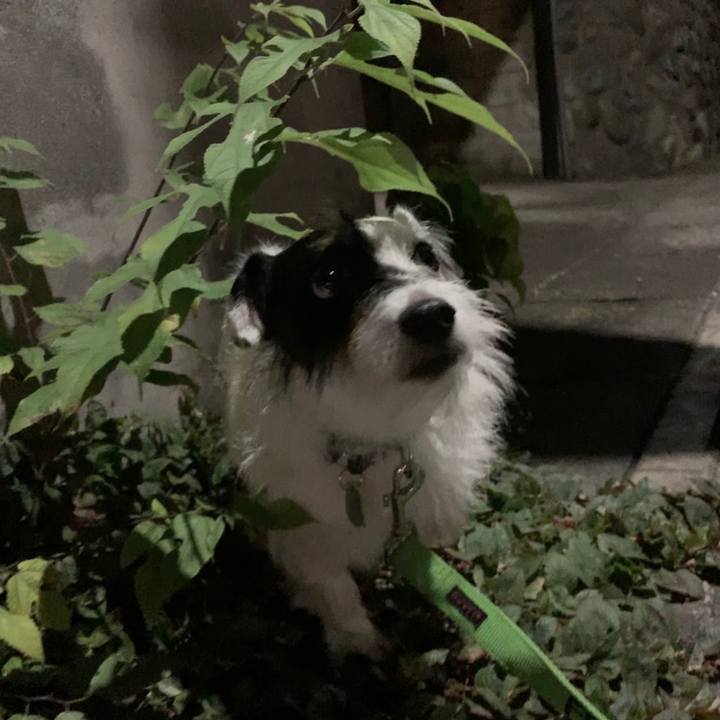 Ae8892eb 97d7 40a9 868c d784055b2740 1564580879309