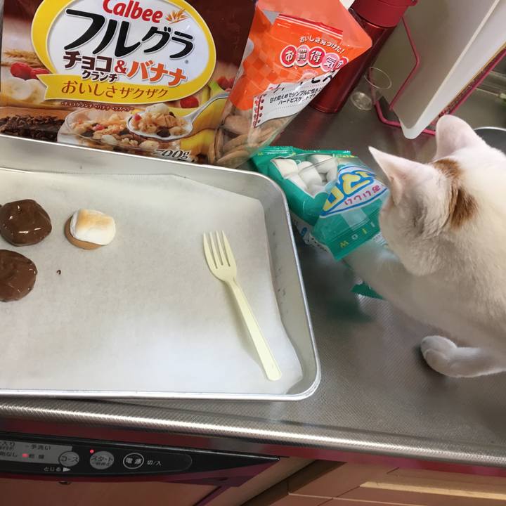 Ae88d422 e4b7 42b6 bca2 891326a799bd 1520755761143