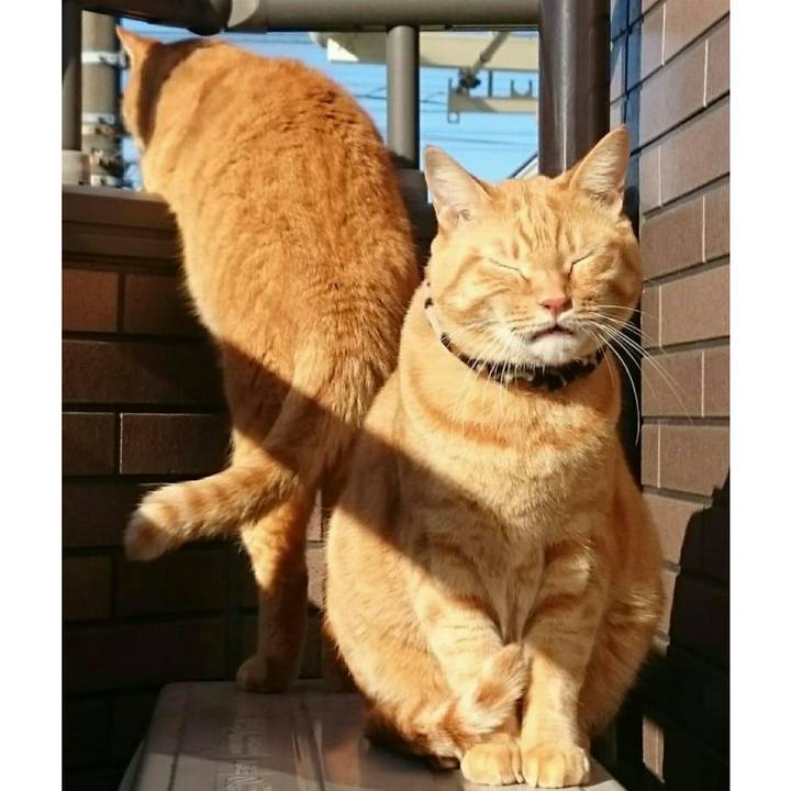 Ae891337 694c 4cad a840 37fb26300711 1540770017699