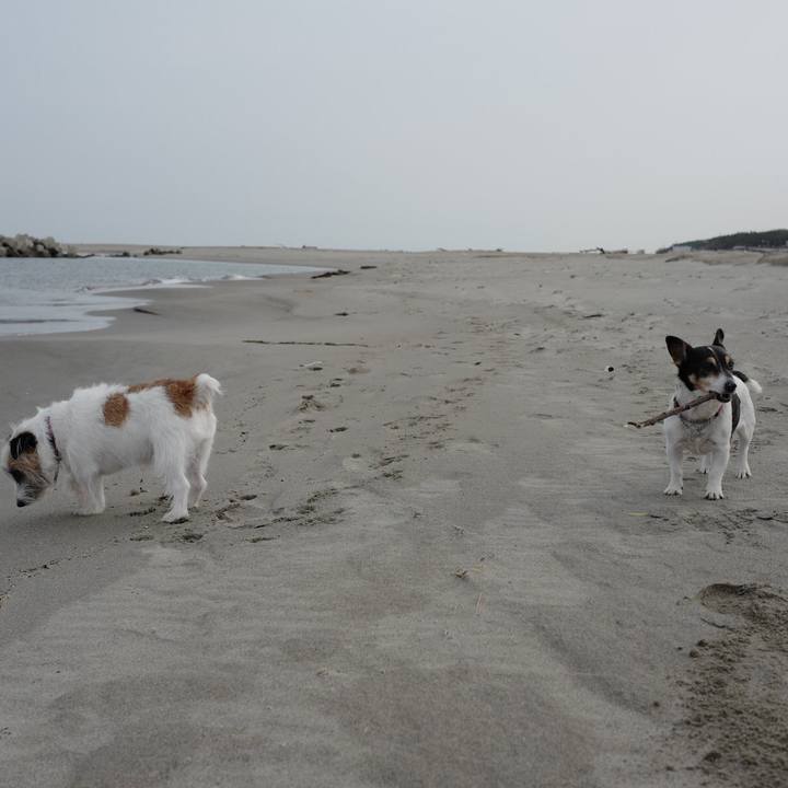 Ae895004 378f 4746 9763 87d5d8272356 1553921699458