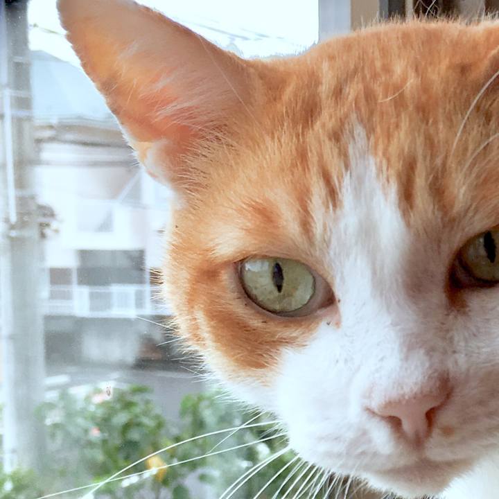 Ae89543f c1a5 4353 aa3b 2e6aef9e9d2b 1570604885666