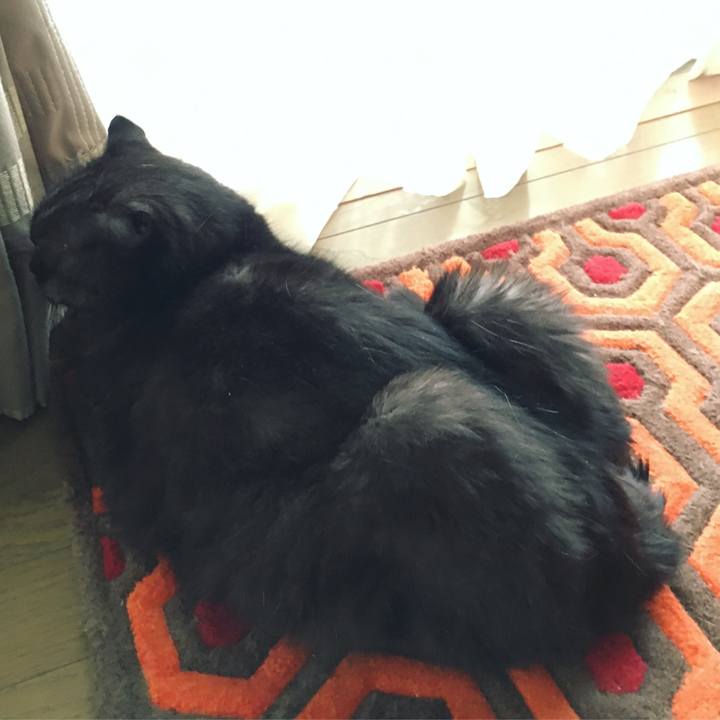 Ae89efd2 6639 47b2 823c 9c2853b8d9b7 1570777235592