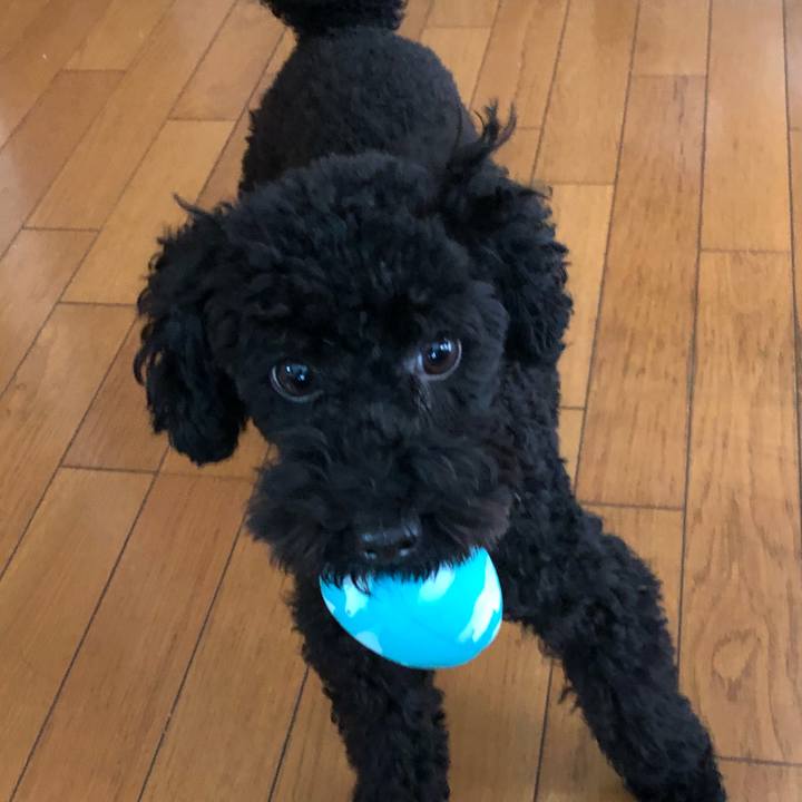 Ae8a21c1 5576 4a6f 8a2e 2be72616064d 1510444458616