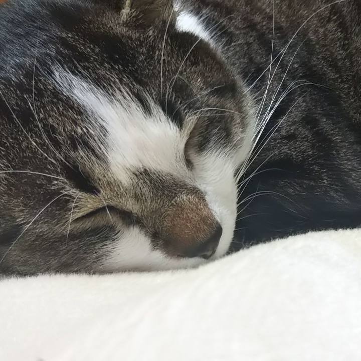 Ae8a616d 798f 4b0a 9cab edace6f3da8f 1607781166496