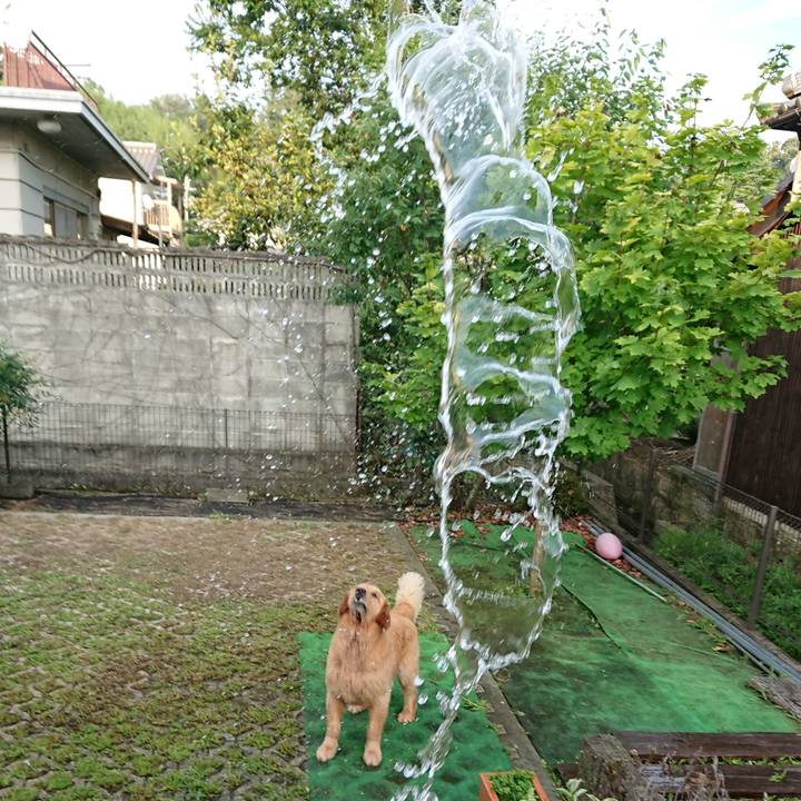 Ae8a7e6a 962a 439a 9e85 203690535bd5 1564407416370