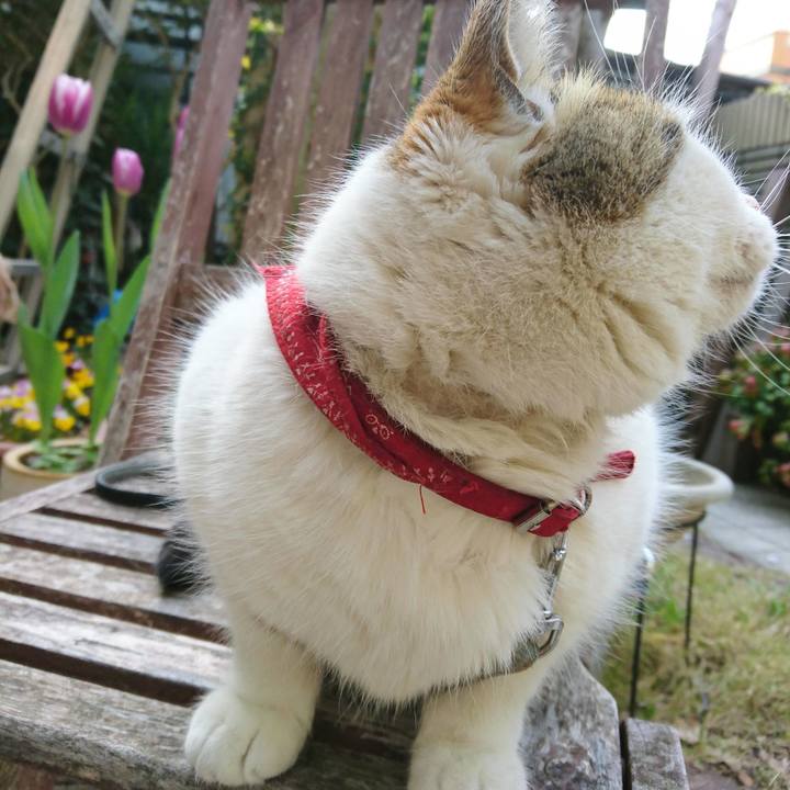 Ae8a94ce 5a6a 40fa 99ce 1aabb9e78616 1522710775473