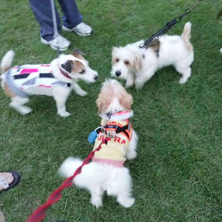 Ae8aa591 75ab 4a37 b4b3 cd442b94bddd 1757929637986