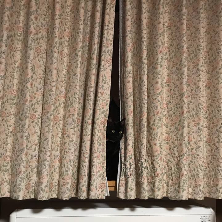 Ae8ae96d 0825 4358 b26a 64f49f309683 1617196821397