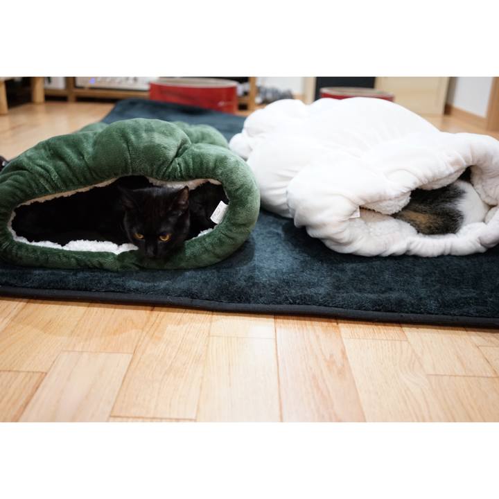 Ae8aed8b 48f4 468b 81b2 9f0ecbe81ece 1511134235980