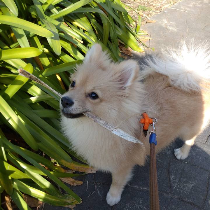 Ae8b1162 f1ca 4cd3 bd40 b2966a19cf53 1736484658108