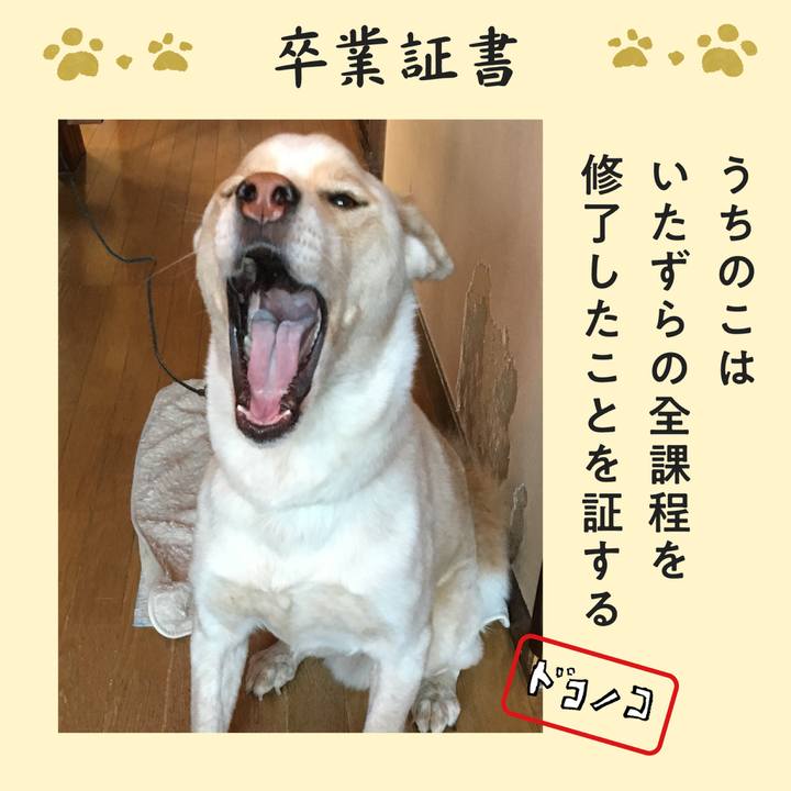 Ae8b3df7 74ac 4d6f 9daf 8f665895daf4 1772143263869