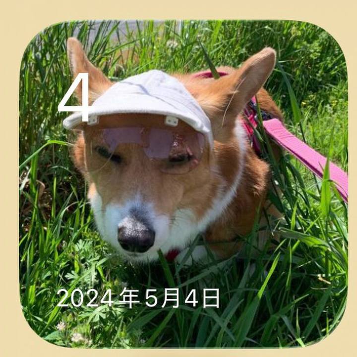 Ae8b40d8 e507 426c a020 776e620cd641 1777895117254