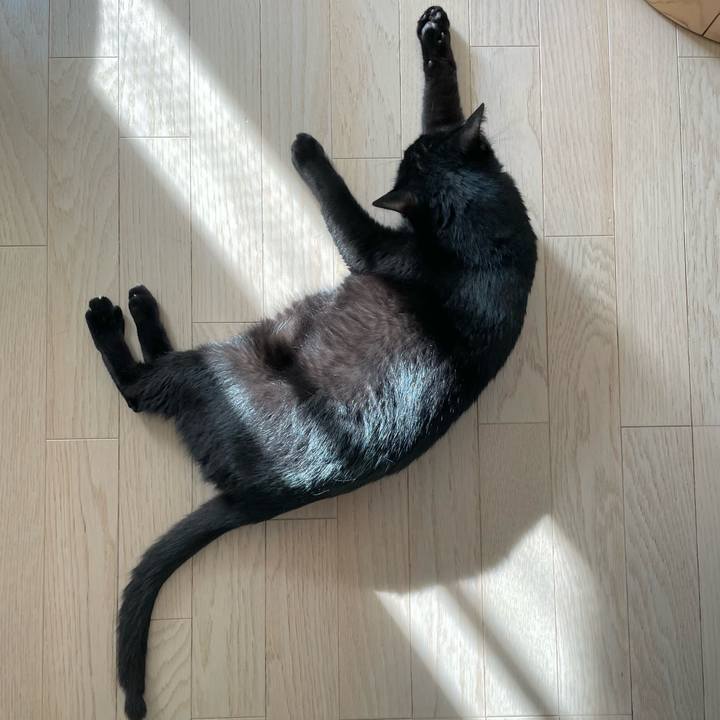 Ae8b5d86 eb7f 4068 ace6 7204ae51219e 1651587821245