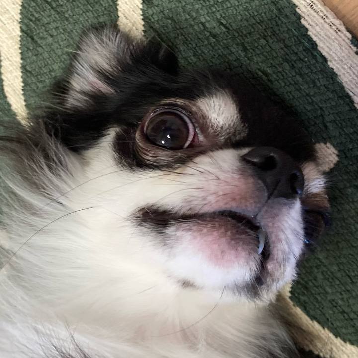 Ae8b847d d24a 437e 8625 e4a8e8606ed8 1634997433479